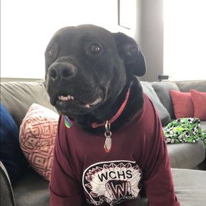 Meet your Posher, Samantha